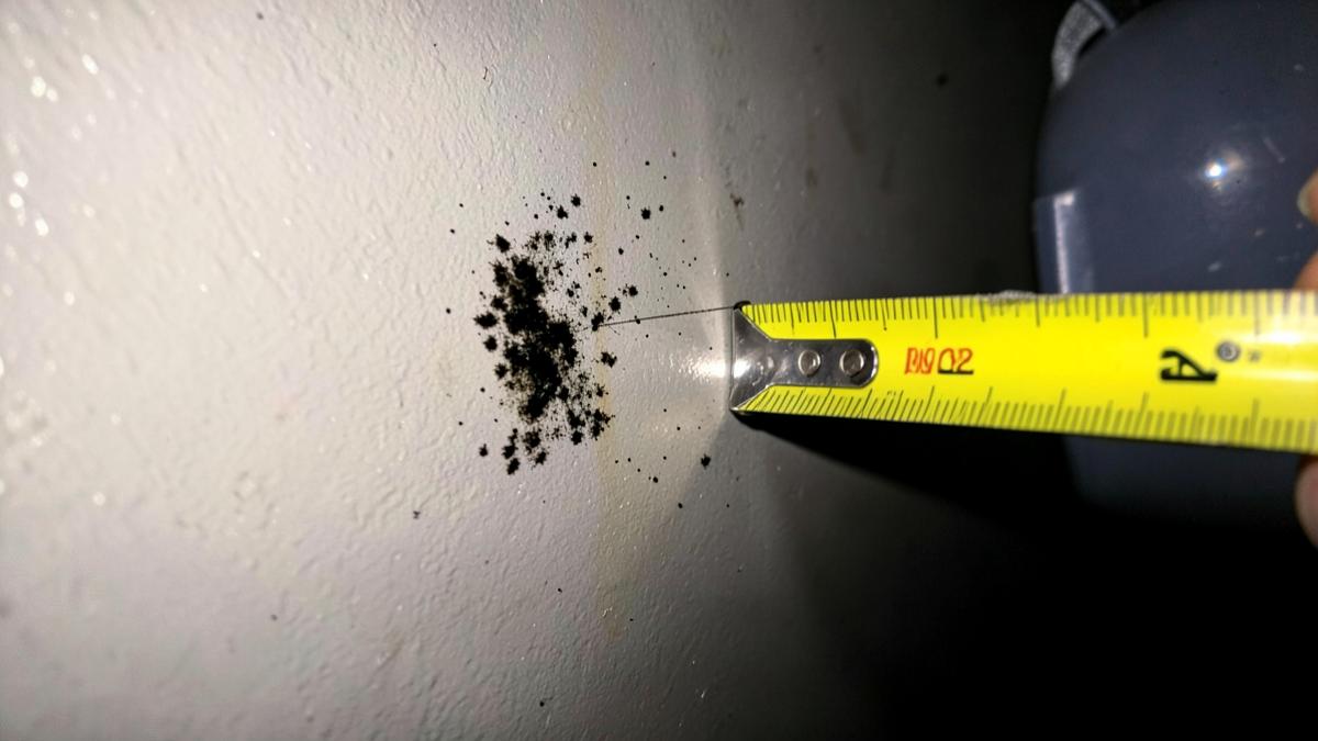 How Much Mold Is Too Much? The 10 Sq Ft Rule